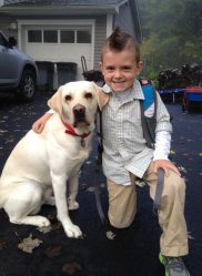 Guiding Eyes Puppies