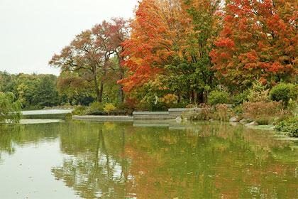 3 Stunning Fall Foliage Hikes in Westchester County