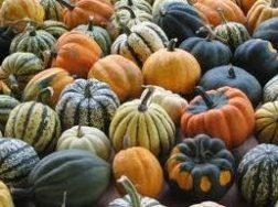 Indoor Farmers' Markets