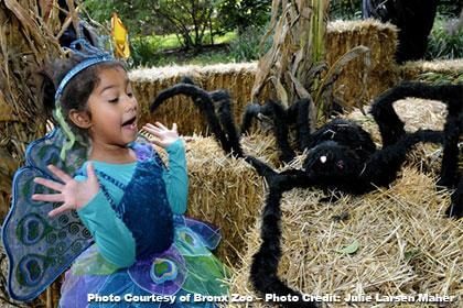 Let’s Go To … Halloween at the Bronx Zoo