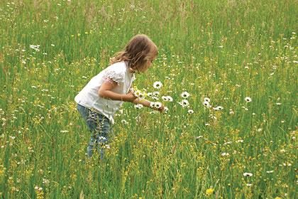 Fabulous Nature Centers