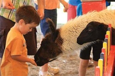 The Dutchess County Fair