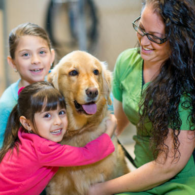 Pet Adoption Centers in Westchester