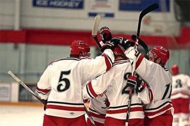 Hockey Fans Root For The Brewster Bulldogs
