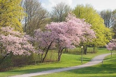 The Best Nature Centers in the Westchester Area