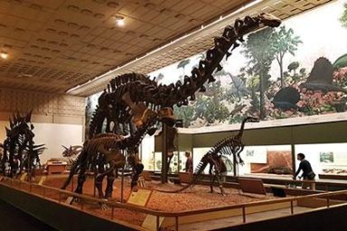 The Connecticut Dino Trail