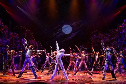 Broadway Review: Cats
