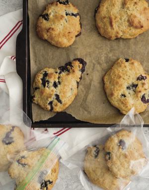 Wild Blueberry Whole-Grain Scones