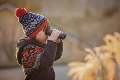 STEAM-y Projects for Chilly Days