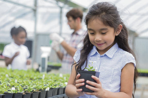 STEAM Into Spring With Fun Science and Art Projects