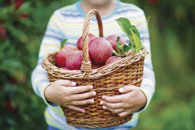 “A” is for Apple