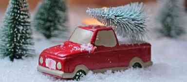 Where to Cut-Your-Own Christmas Tree