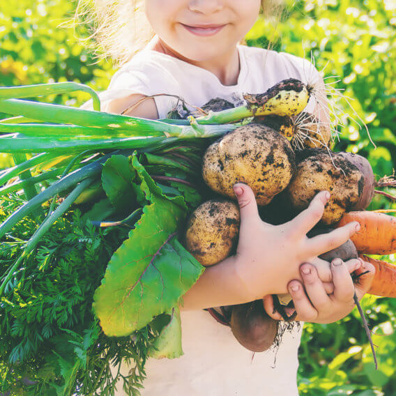 Gardening in Westchester