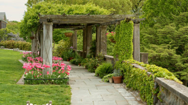 Overgrown Pergola in spring. Wave Hill in Hudson Hill section of Riverdale in Bronx, New York City