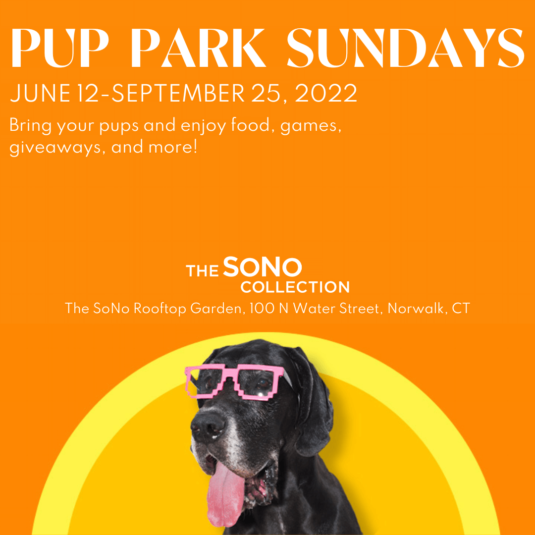 Pup Park Squ