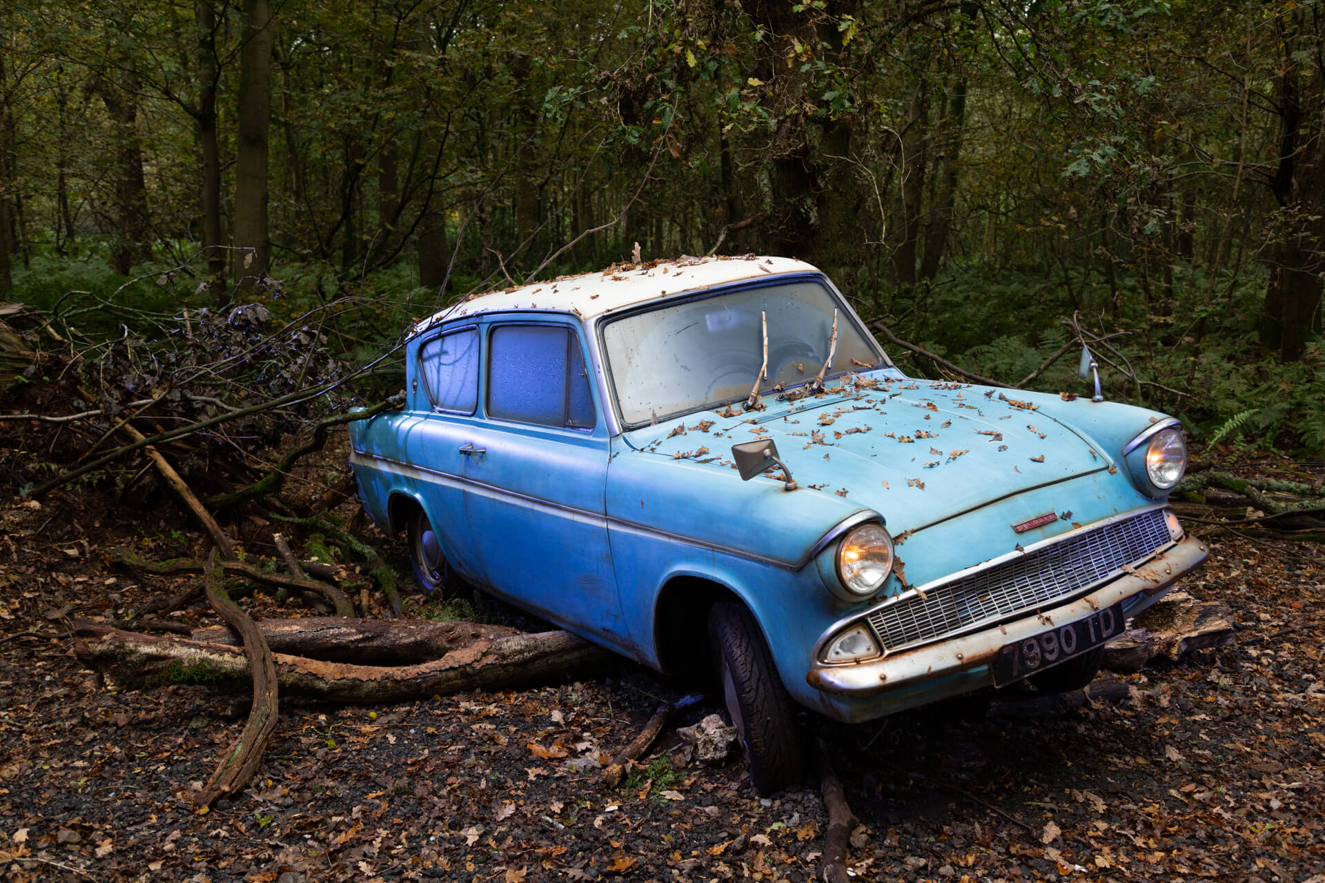 Harry Potter A Forbidden Forest Experience Westchester Family