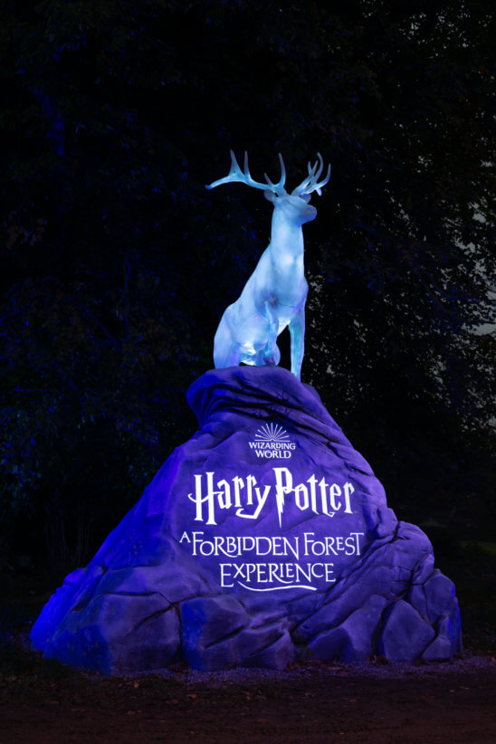 Harry Potter: A Forbidden Forest Experience Comes to Westchester