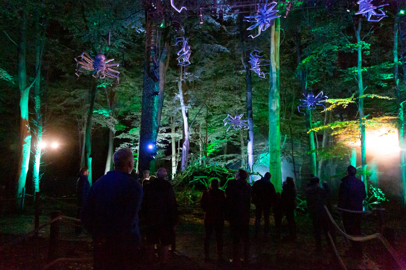Harry Potter A Forbidden Forest Experience Westchester Family