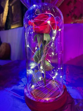 The Beauty and the Beast Cocktail Experience in NYC.
