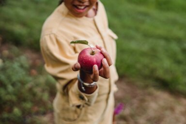 Apple Picking In and Around Westchester 2023