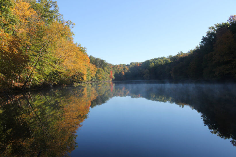 Exploring Teatown with Your Kids