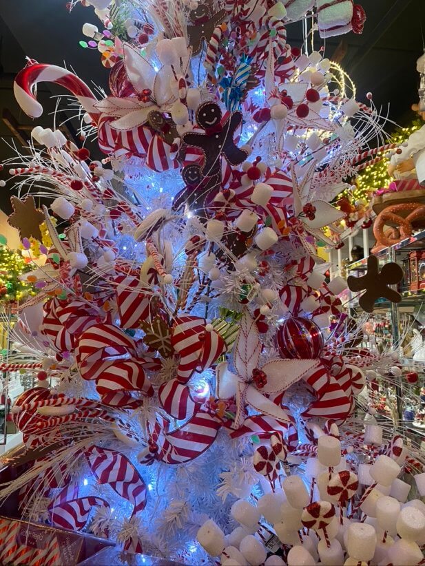 Santa's Village at American Christmas