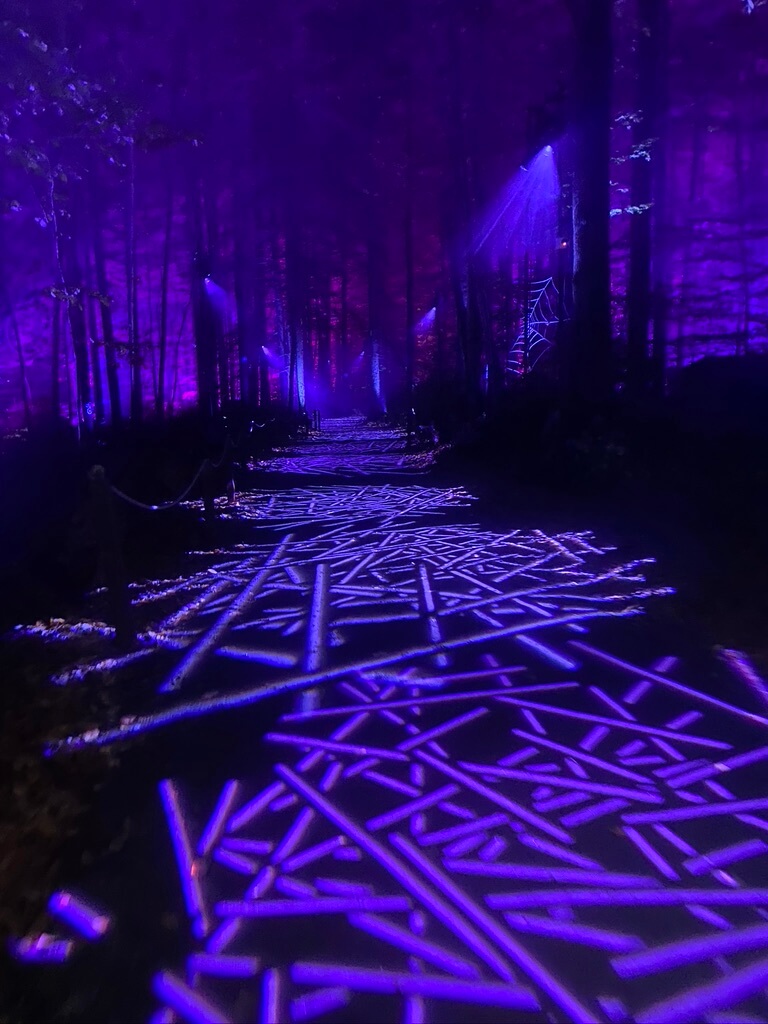 First Look Harry Potter Forbidden Forest Experience Westchester Family