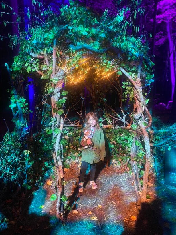First Look: Harry Potter a Forbidden Forest Experience