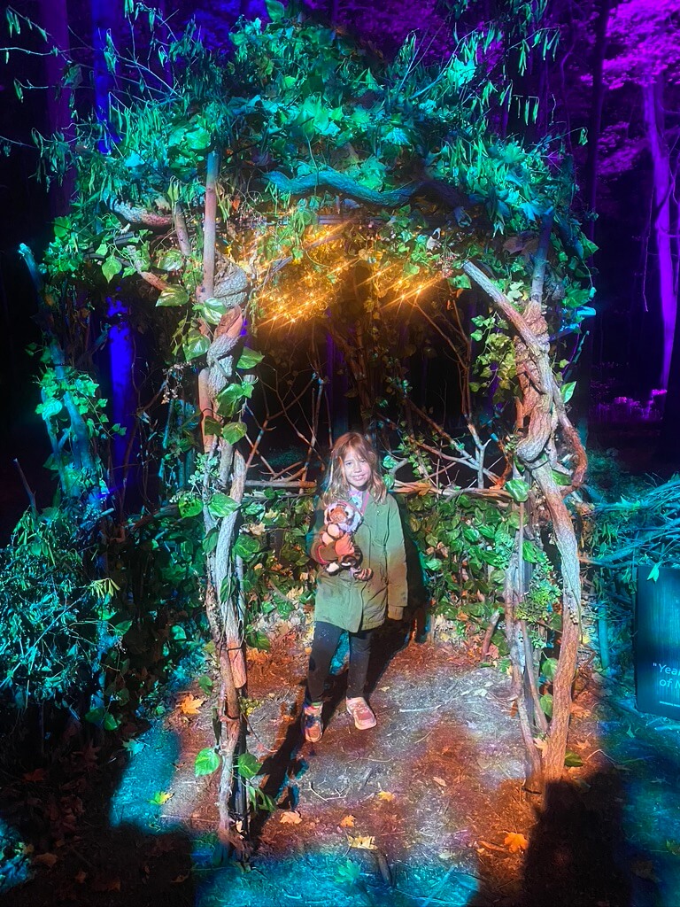 First Look Harry Potter Forbidden Forest Experience Westchester Family