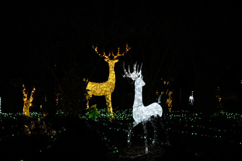 Tickets on Sale Now for Westchester's Winter Wonderland