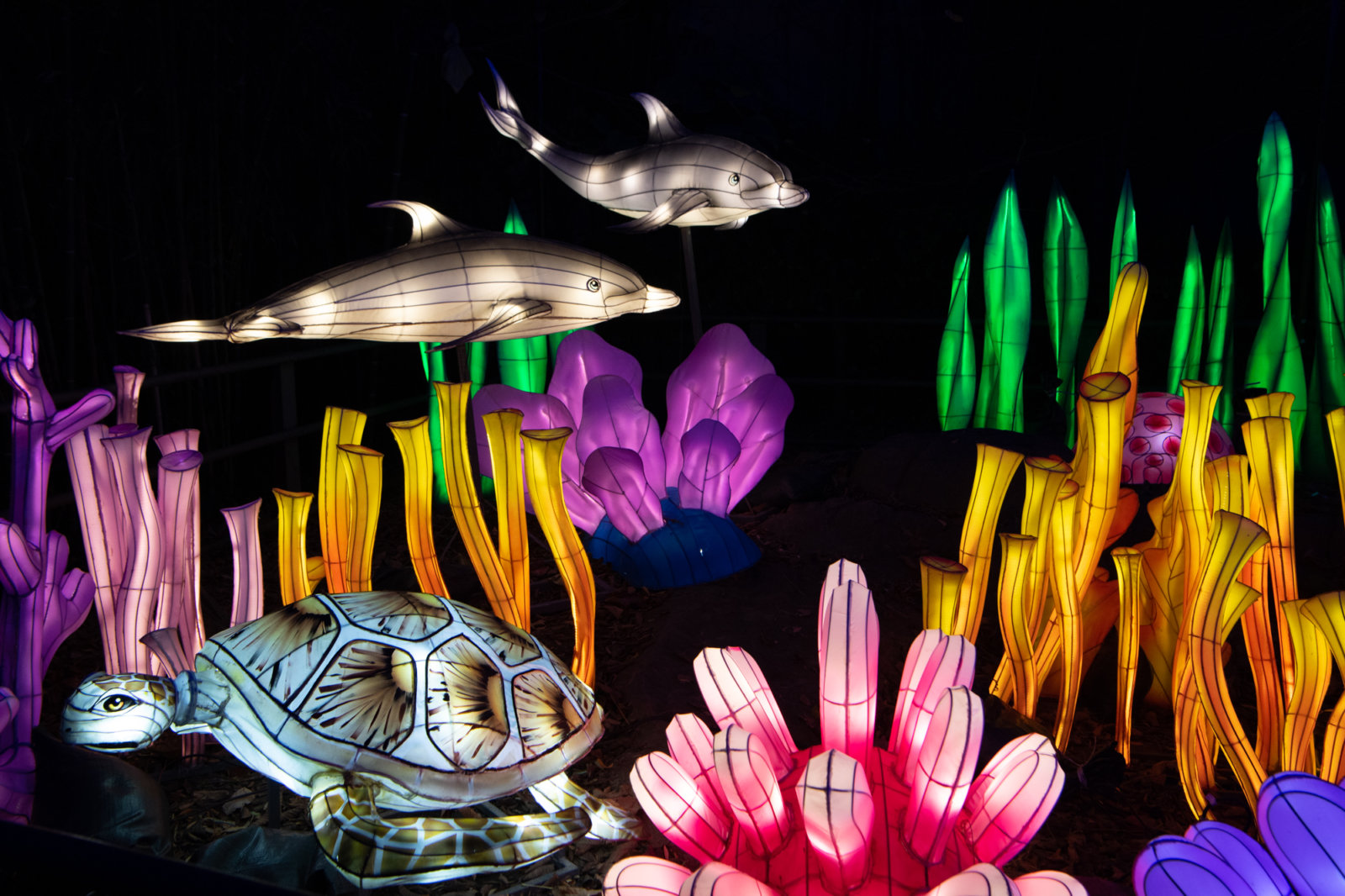 First Look Bronx Zoo Holiday Lights Westchester Family
