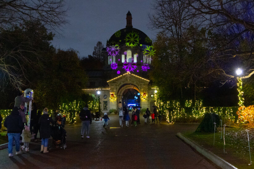 First Look: Bronx Zoo Holiday Lights