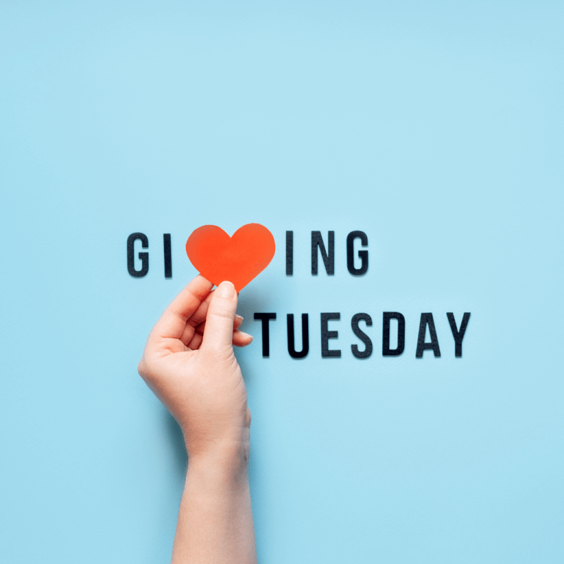 Supporting Westchester Organizations for Giving Tuesday