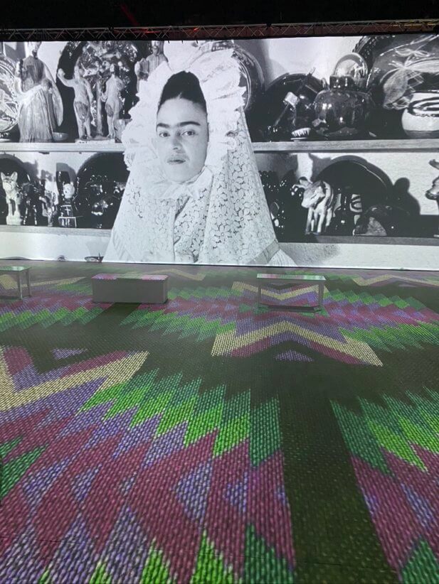 Enter the World of the Frida Kahlo the Immersive Biography