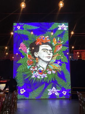Enter the World of the Frida Kahlo the Immersive Biography