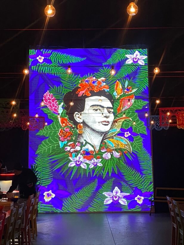 Enter the World of the Frida Kahlo the Immersive Biography