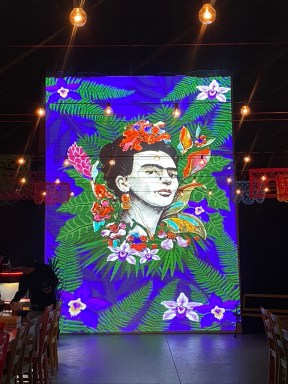 Enter the World of the Frida Kahlo the Immersive Biography