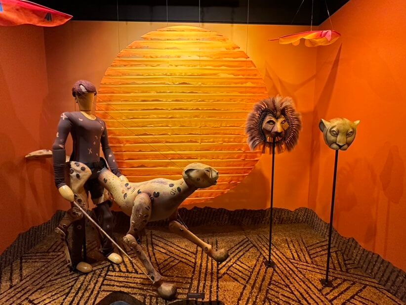 The Lion King costume