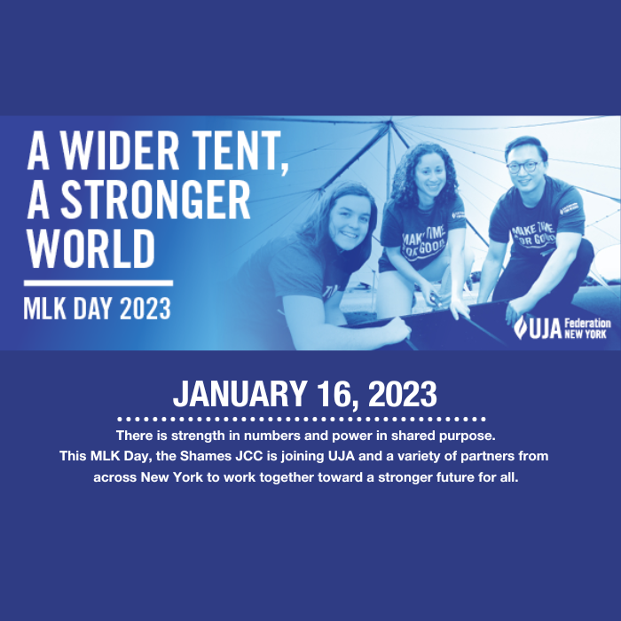 MLK Day of Service 2023