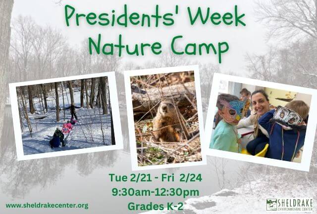 Enjoy a Presidents’ Week Nature Camp at Sheldrake.