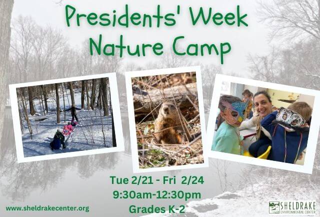 Nature Girls (Ages 8-12) - Teatown