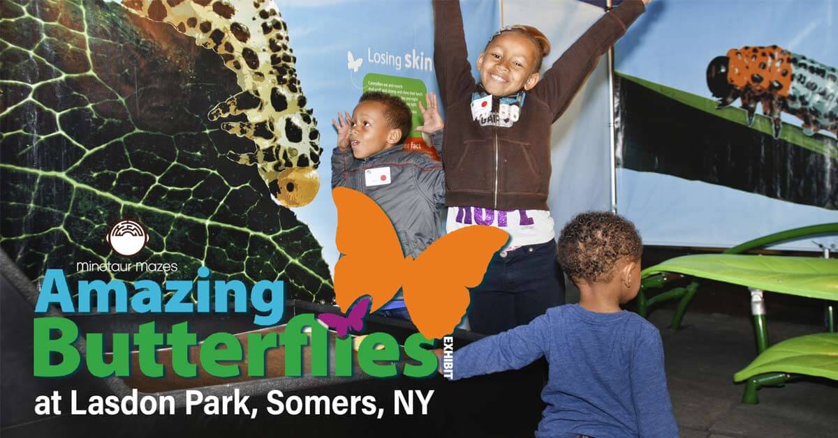 Amazing Butterflies Exhibit at Lasdon Park Westchester Family