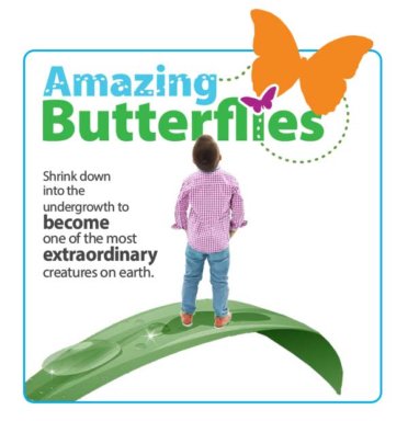 Amazing Butterflies Exhibit at Lasdon Park