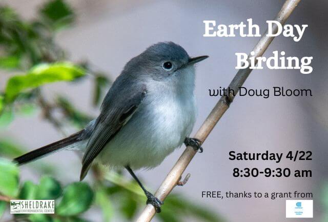 Enjoy Earth Day Birding at Sheldrake
