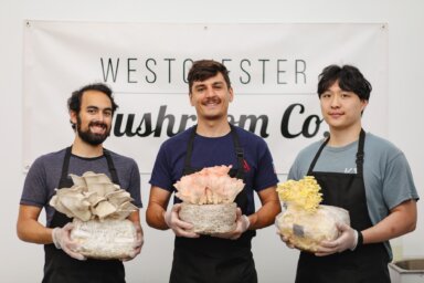 Westchester-Mushroom-Co-52 copy