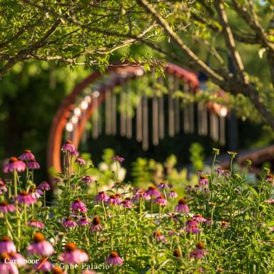 Caramoor