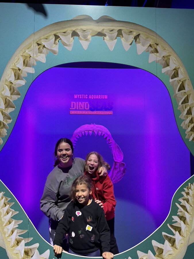 Day Trip to Mystic Aquarium Westchester Family