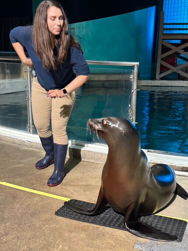 Mystic Aquarium