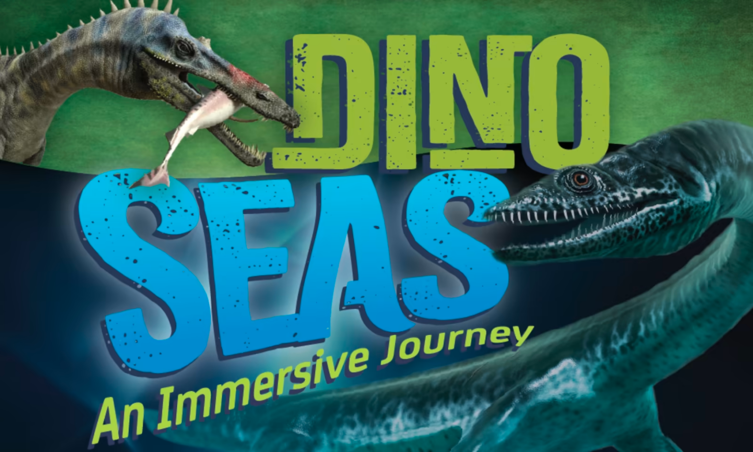 Day Trip to Mystic Aquarium Westchester Family