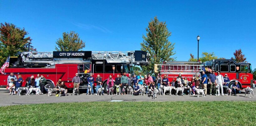 Fun for the whole family at Dalmatian Day